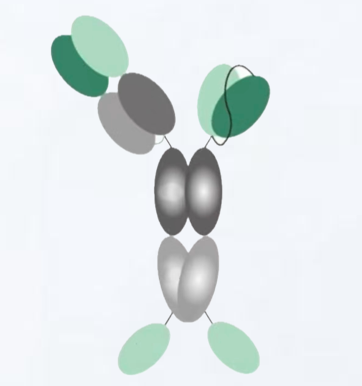 omnimab-img5.png