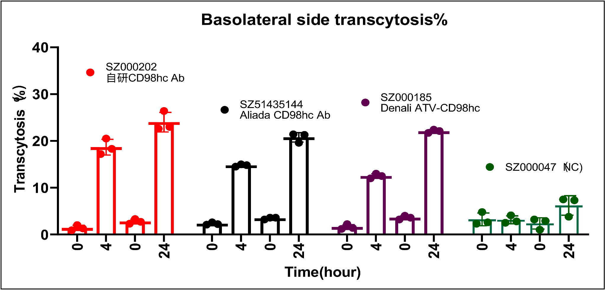 cd98hc-transcytosis (1).png