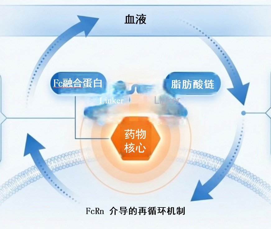 lasr-mechanism-new (1).png