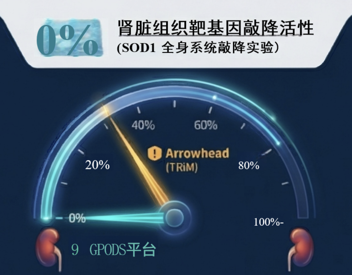WX20260524-121310@2x.png